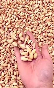 آجیل و خشکبار بارنو