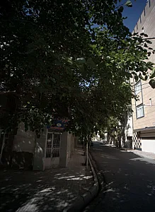 شلوار تک