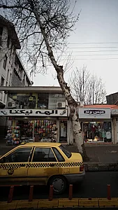 الهه نیکتا