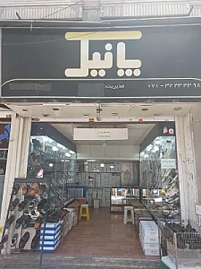 کفش پانیک
