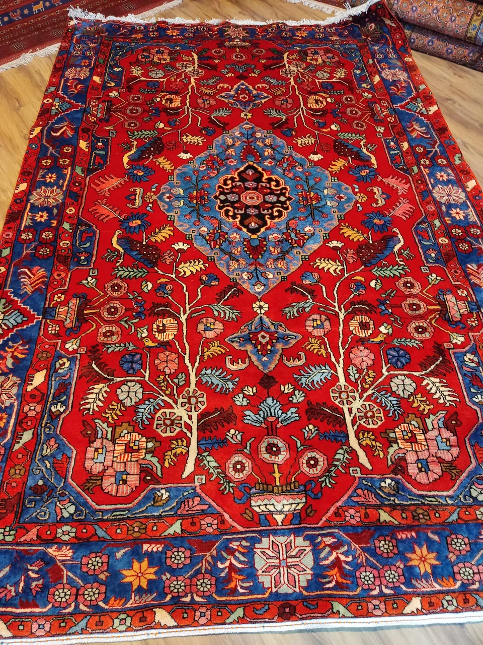 فروشگاه فرش دستبافت گره زرین - تصویر 5