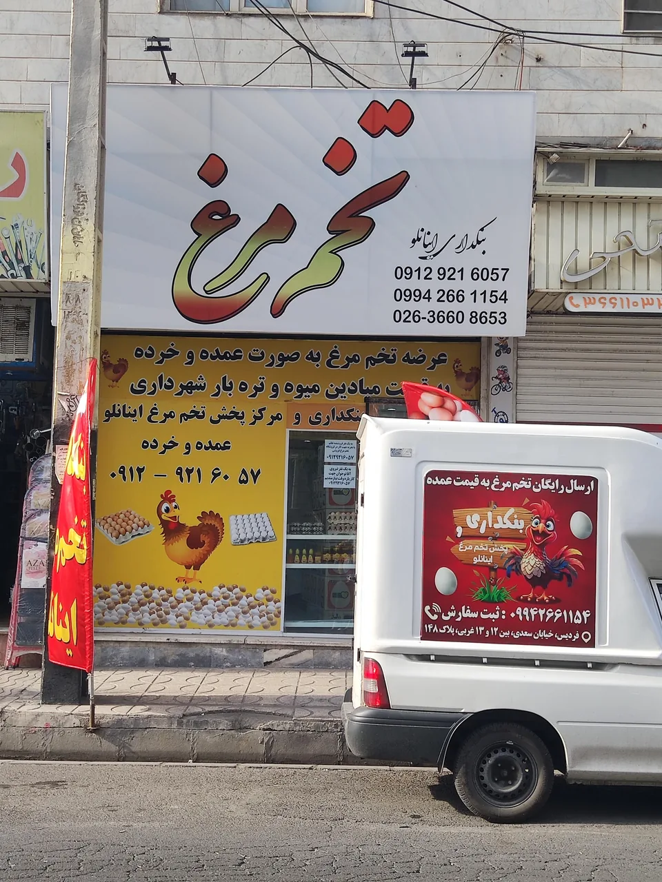 بنکداری تخم مرغ اینانلو