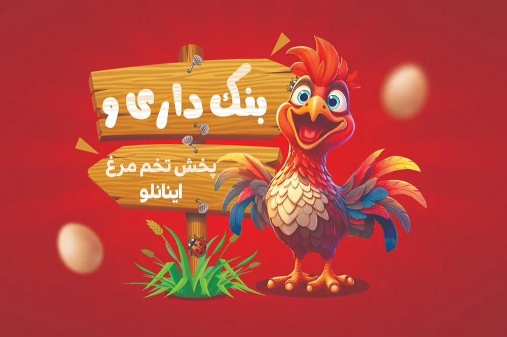 بنکداری تخم مرغ اینانلو - تصویر 2