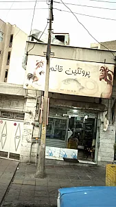 پروتئین قائم