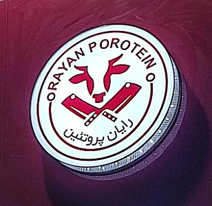 فروشگاه رایان پروتئین