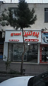 پروتئنی احمدی