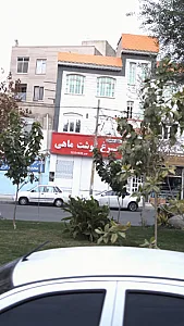 مرغ گوشت ماهی