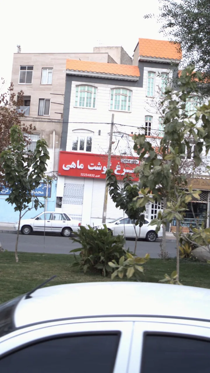 مرغ گوشت ماهی