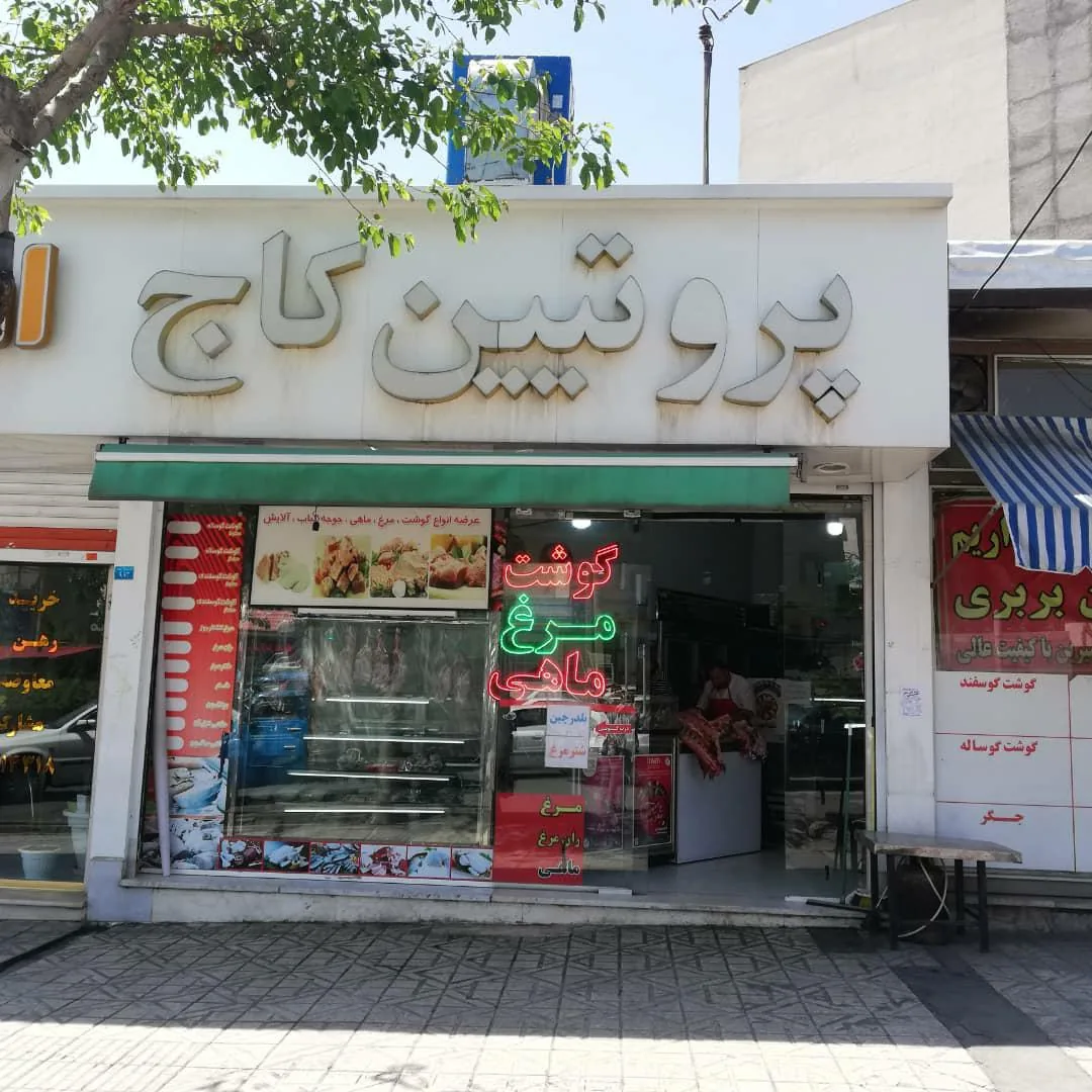 پروتیین کاج صادقی