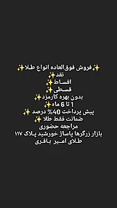 طلای امیر (باقری)