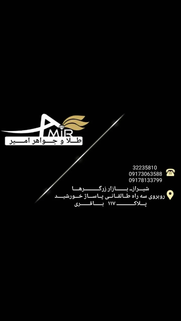 طلای امیر (باقری) - تصویر 2