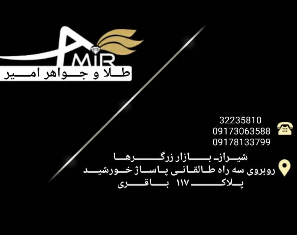 طلای امیر (باقری) - تصویر 3