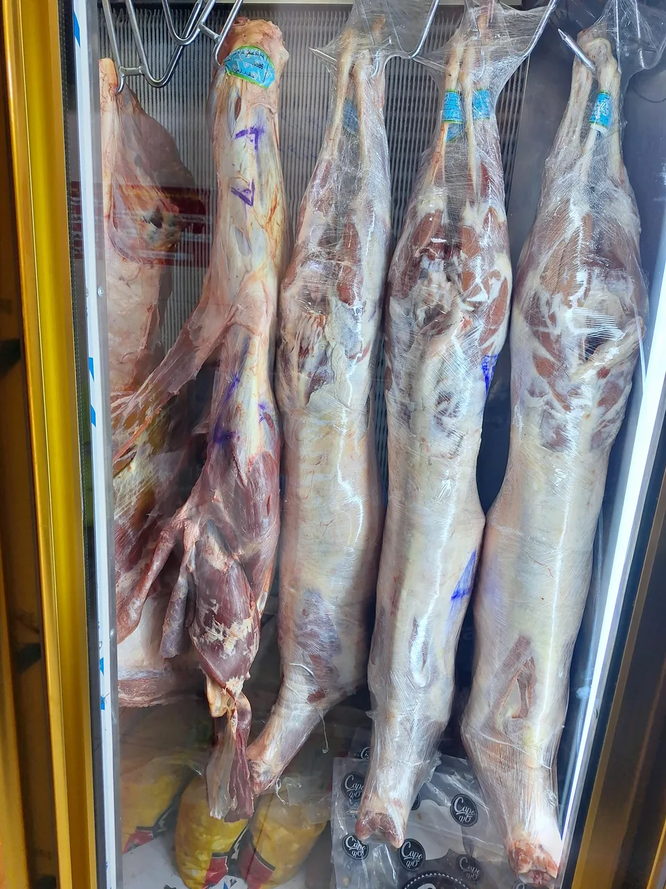 پروتئین سرای نوروزی - تصویر 3