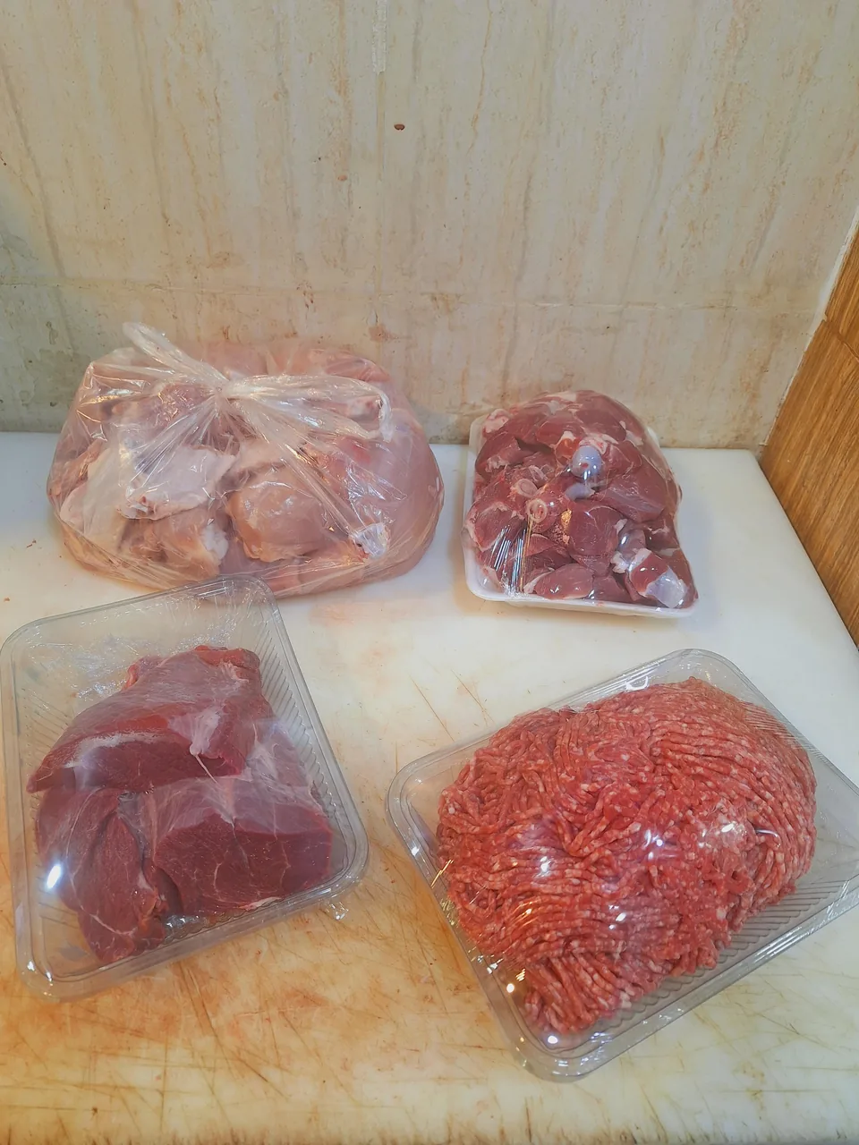 پروتئین سرای نوروزی - تصویر 5
