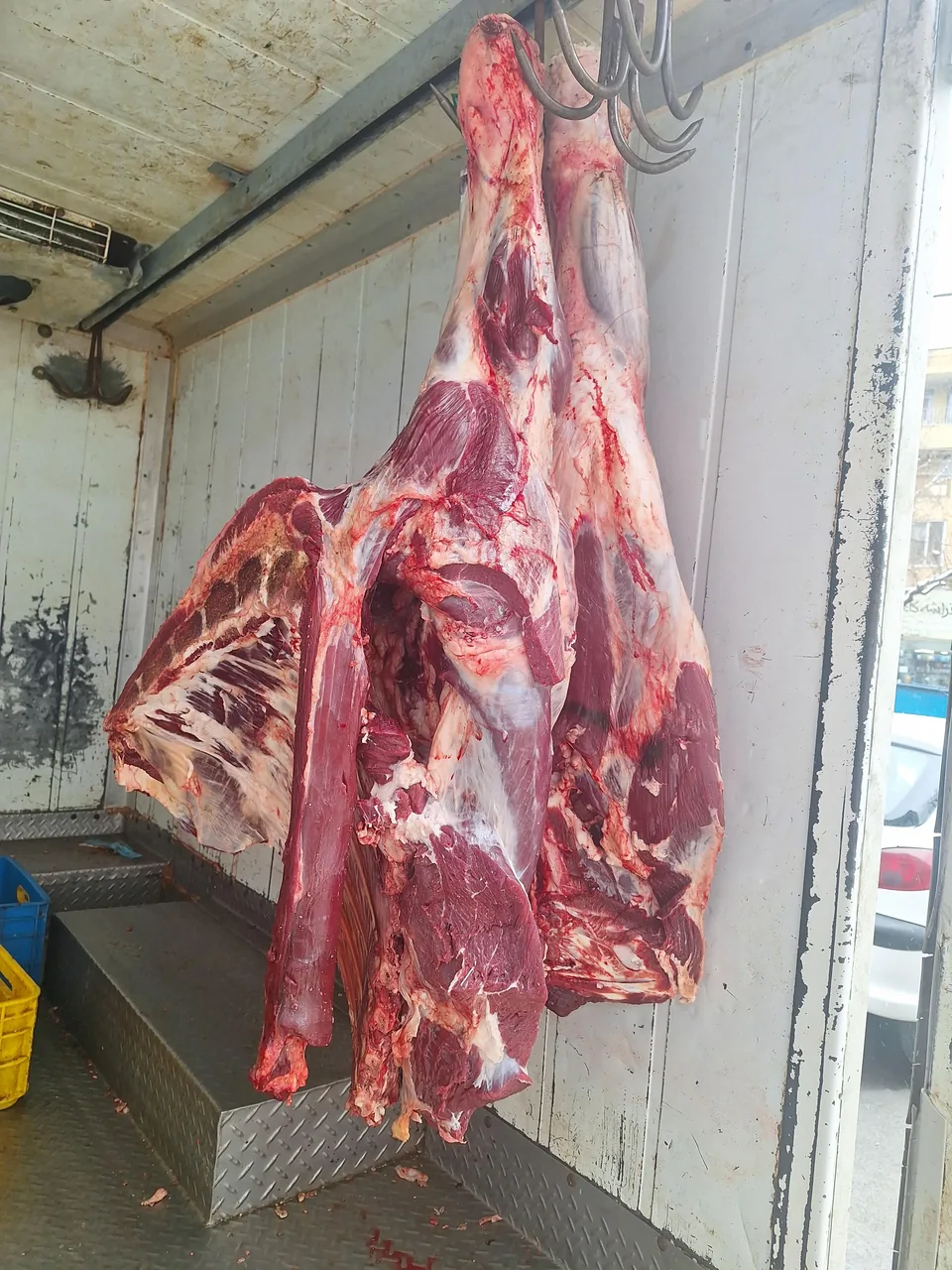 پروتئین سرای نوروزی - تصویر 6