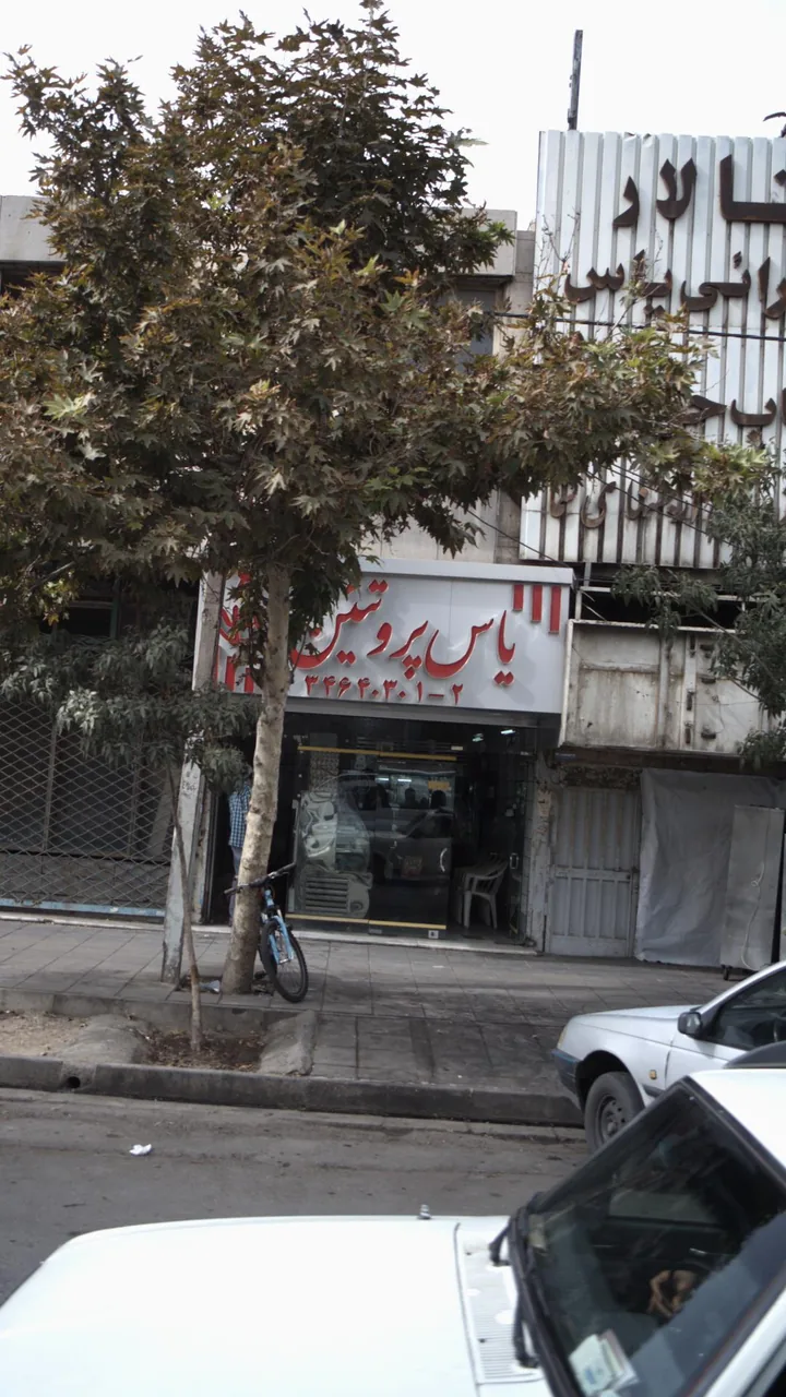 یاس پروتئین