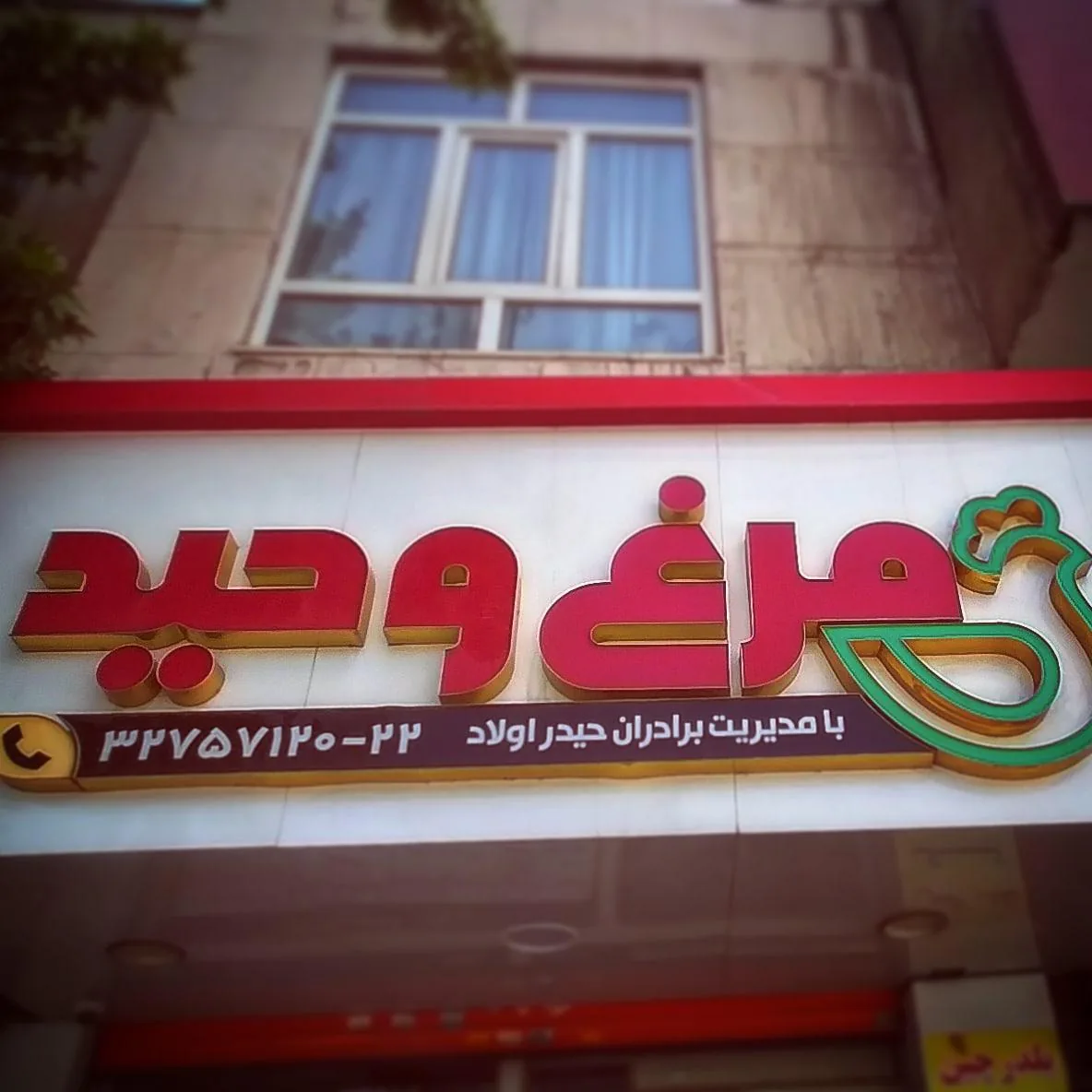 مرغ وحید - تصویر 4