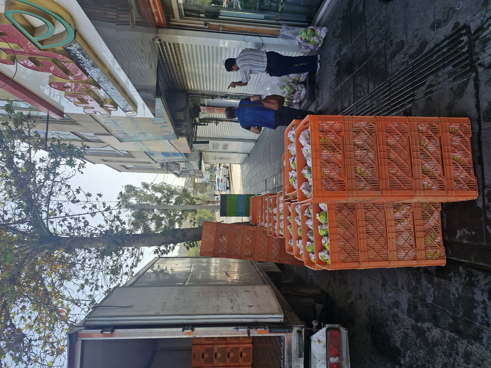مرغ وحید - تصویر 8