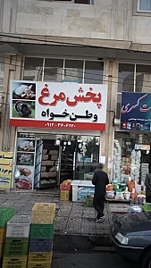 پخش مرغ وطن خواه