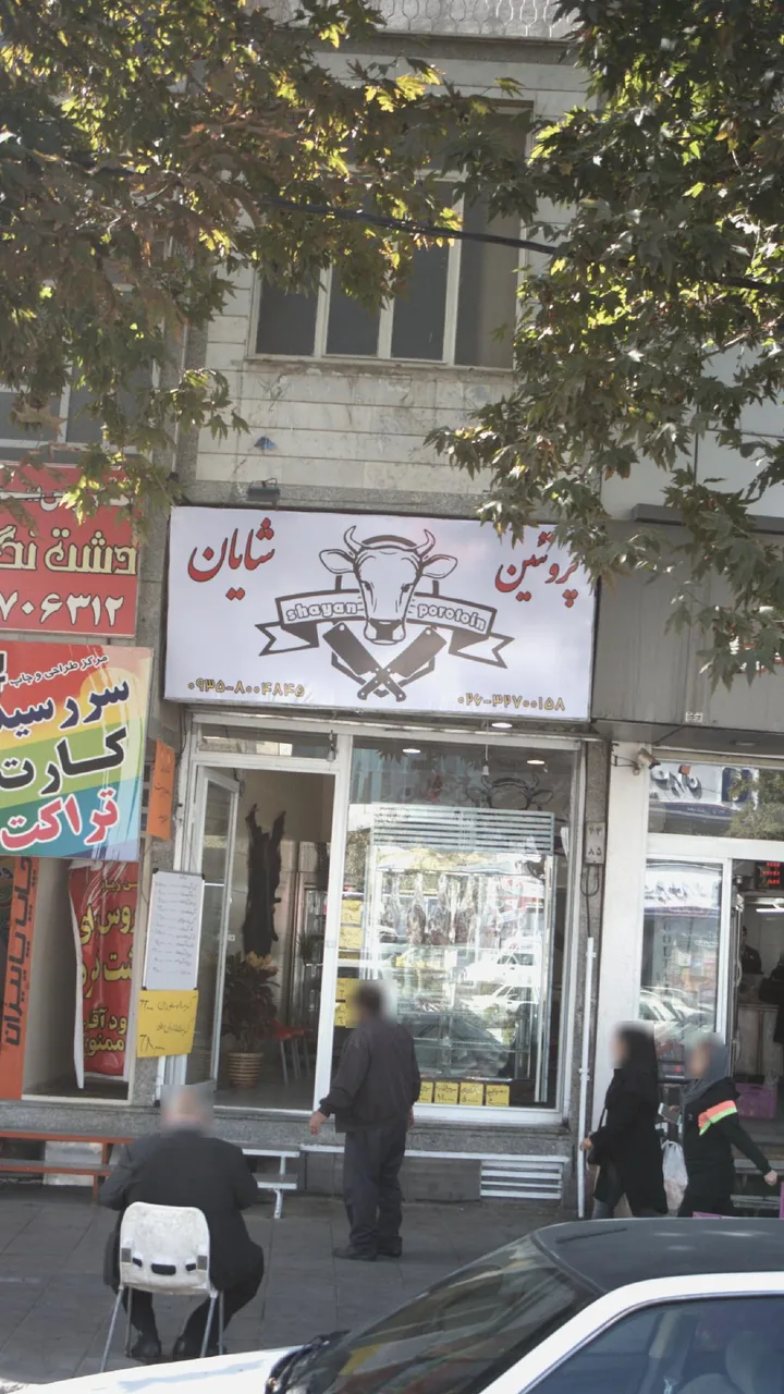 پروتئین شایان
