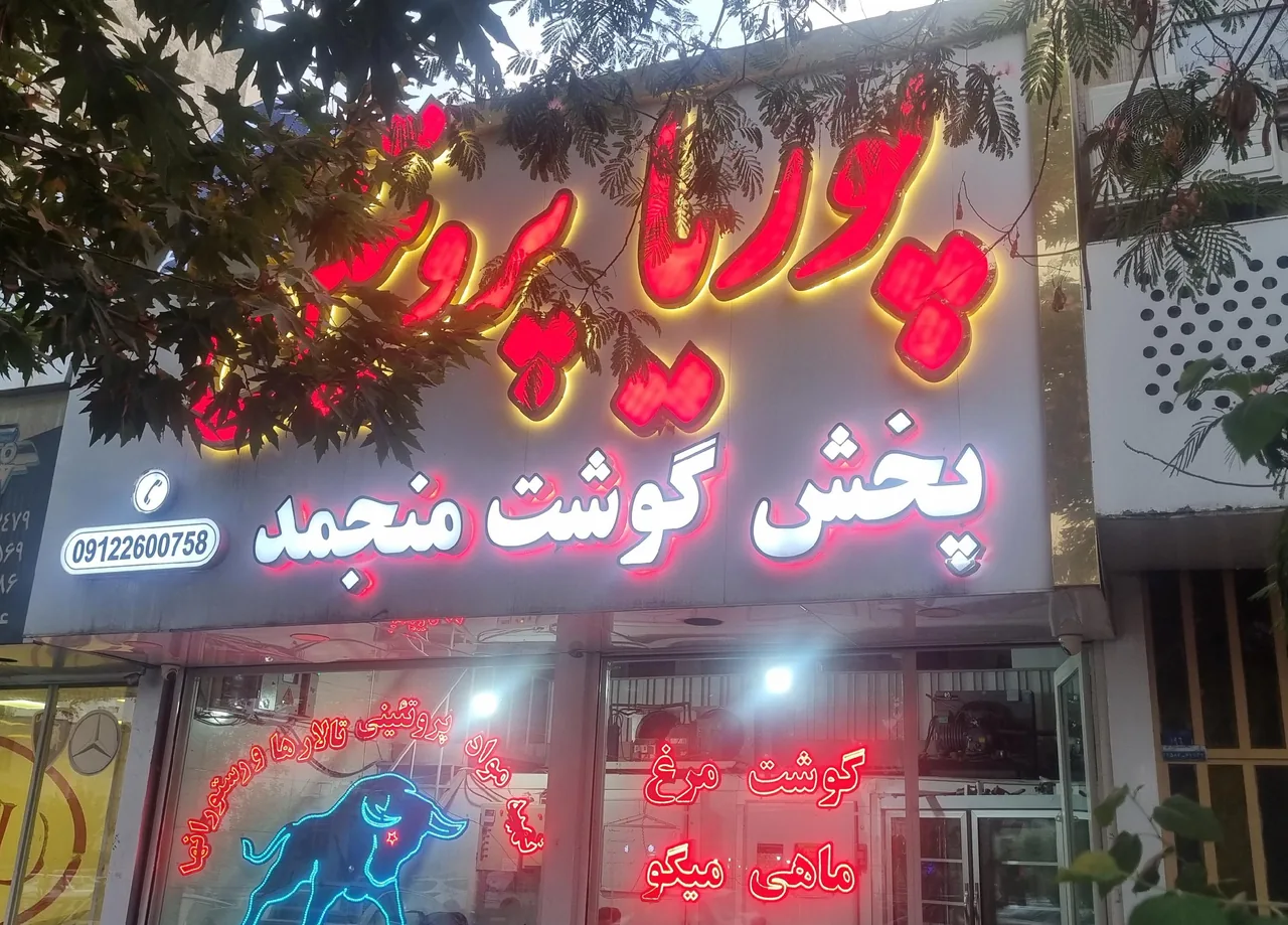 پوریا پروتئین