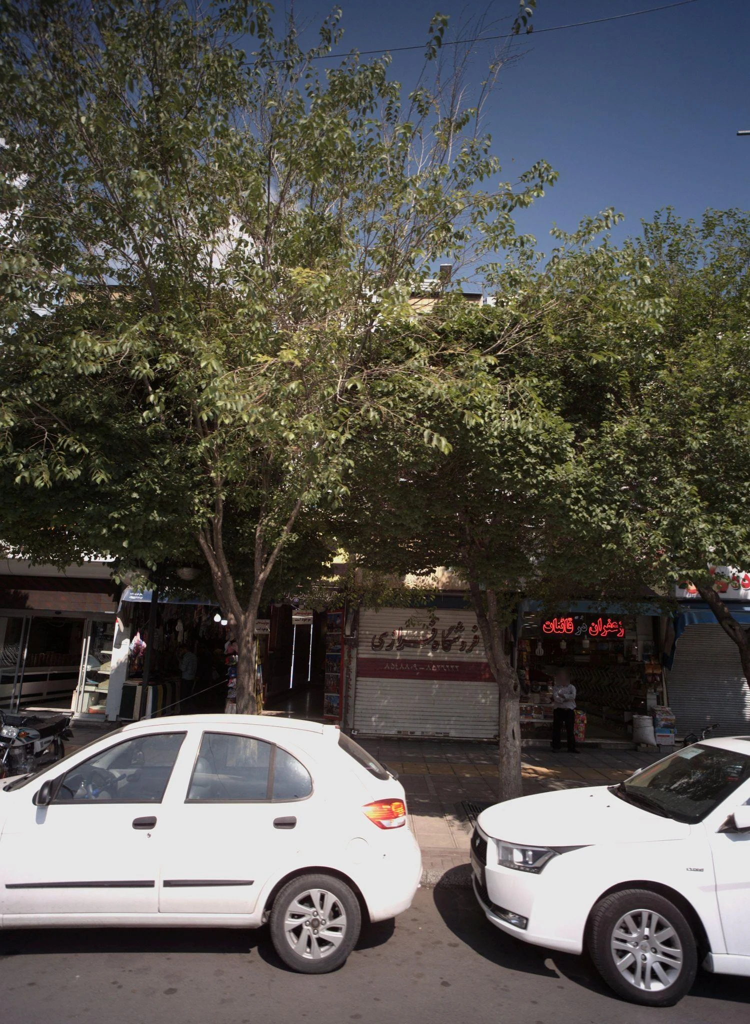 فروشگاه پوشاک