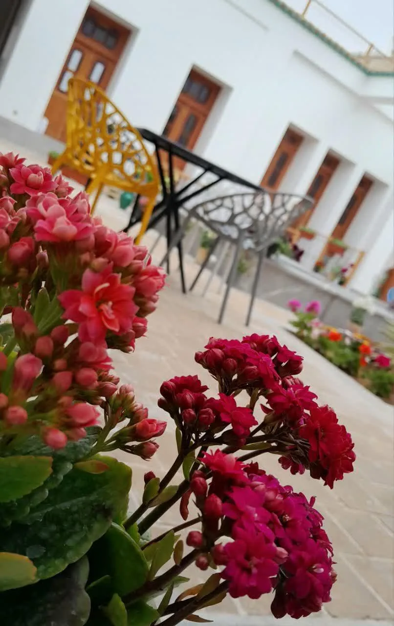 بوتیک هتل خانه صدیق - تصویر 2