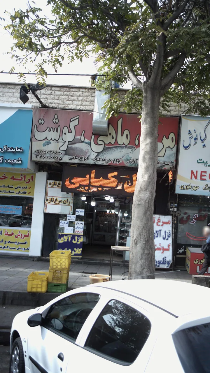 مرغ ماهی گوشت