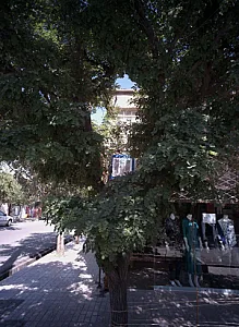 فروشگاه پوشاک