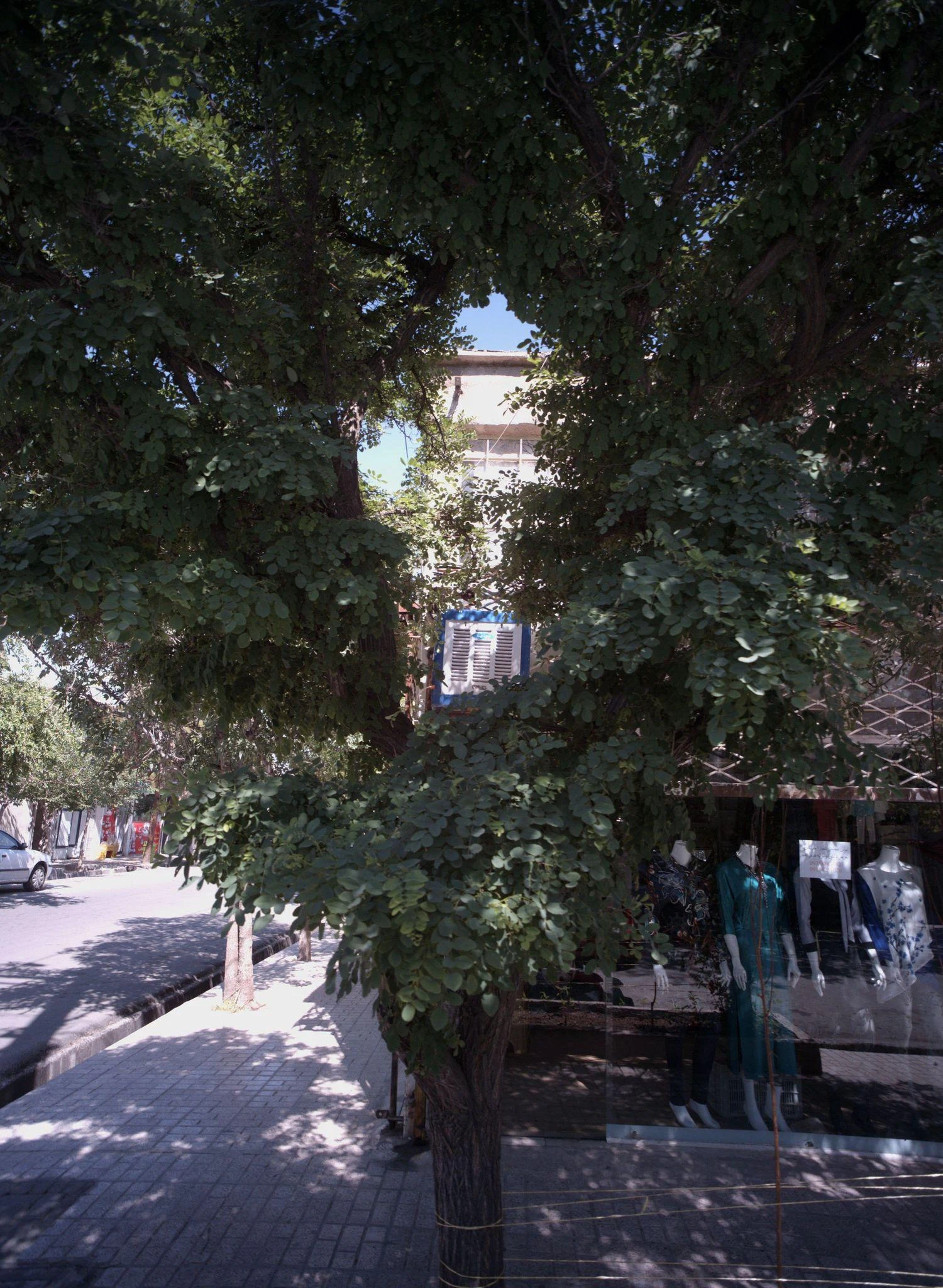 فروشگاه پوشاک