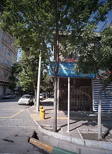 روسری خاتون