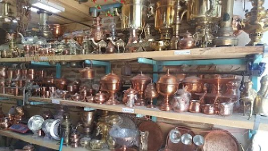 دانه گستر ماکیان