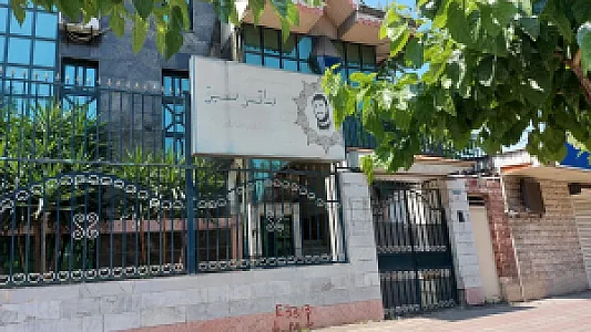 ساتر سبز