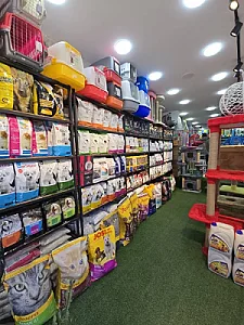 پت شاپ کرج طوطی (به همراه ارسال)