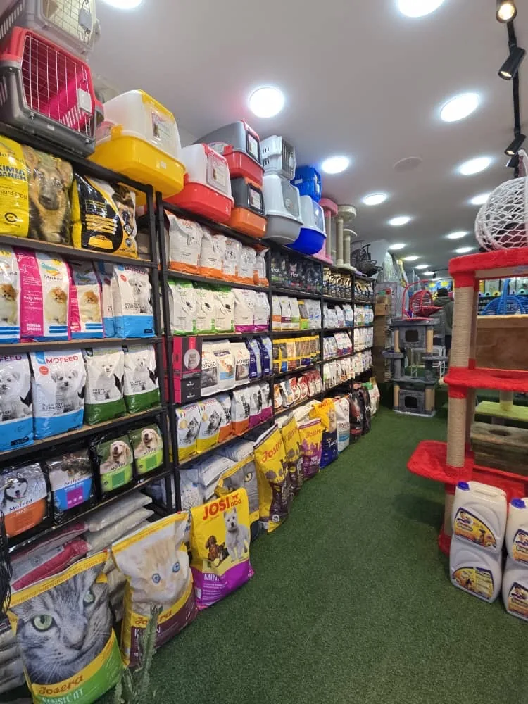 پت شاپ کرج طوطی (به همراه ارسال)