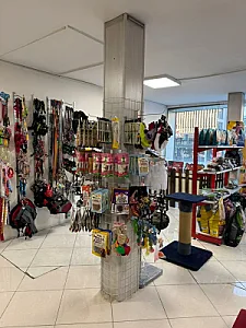 کلینیک دامپزشکی آوین
