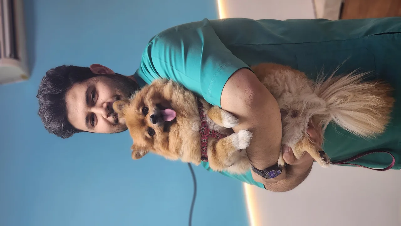 کلینیک تخصصی دامپزشکی لیام - تصویر 6