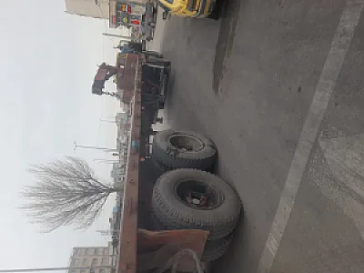 نیکو اطلس
