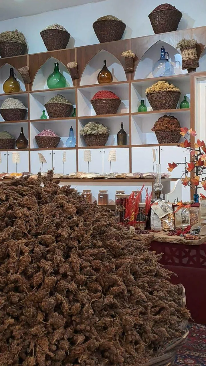 گیاهان دارویی شلیرا