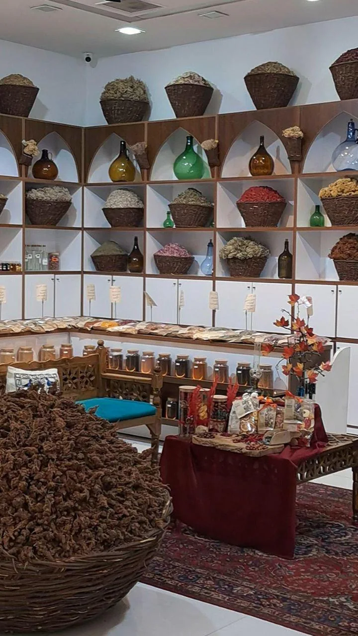 گیاهان دارویی شلیرا - تصویر 6