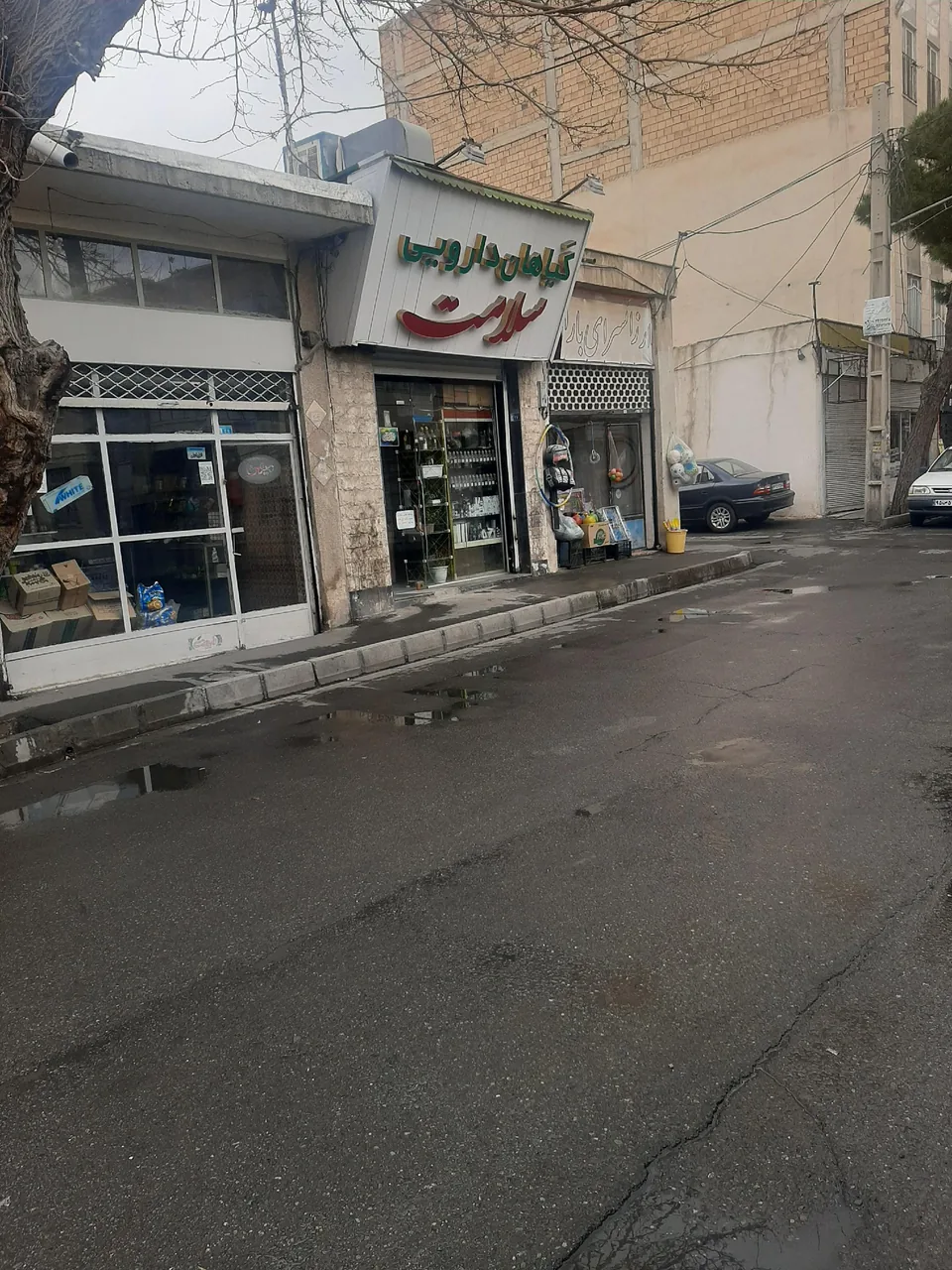 گیاهان دارویی سلامت - طب سنتی و عطاری در کرج - تصویر 2