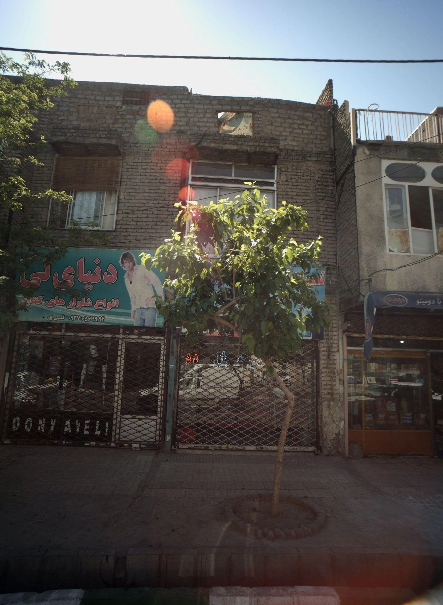 دنیای لی - تصویر 2
