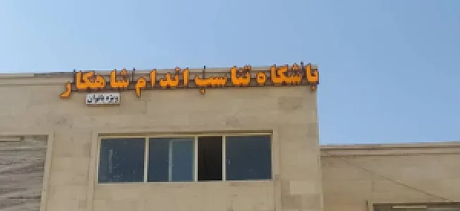 باشگاه بانوان شاهکار