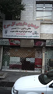 گیاهان دارویی گل سرخ