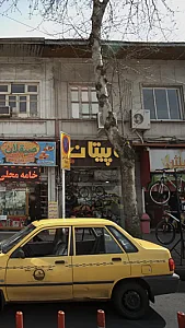 کاپیتان