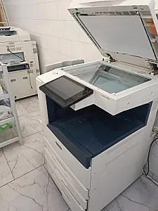 کافی نت قاصدک