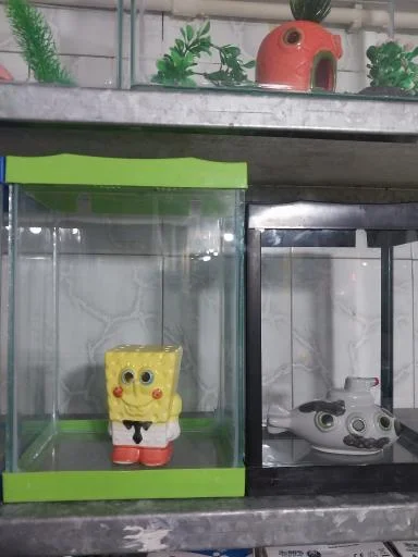 آکواریوم آنجل فیش