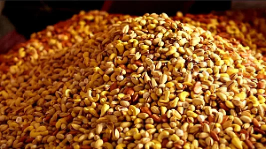 خشکبار پروینی