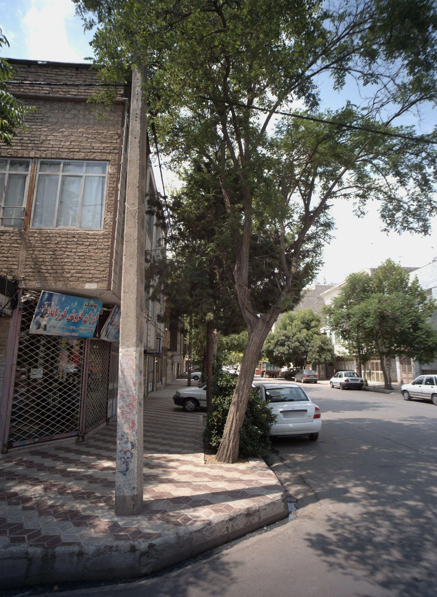 ارزان فروش فرزانه
