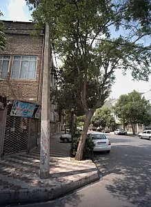 ارزان فروش فرزانه